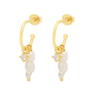 Amorette Hoops