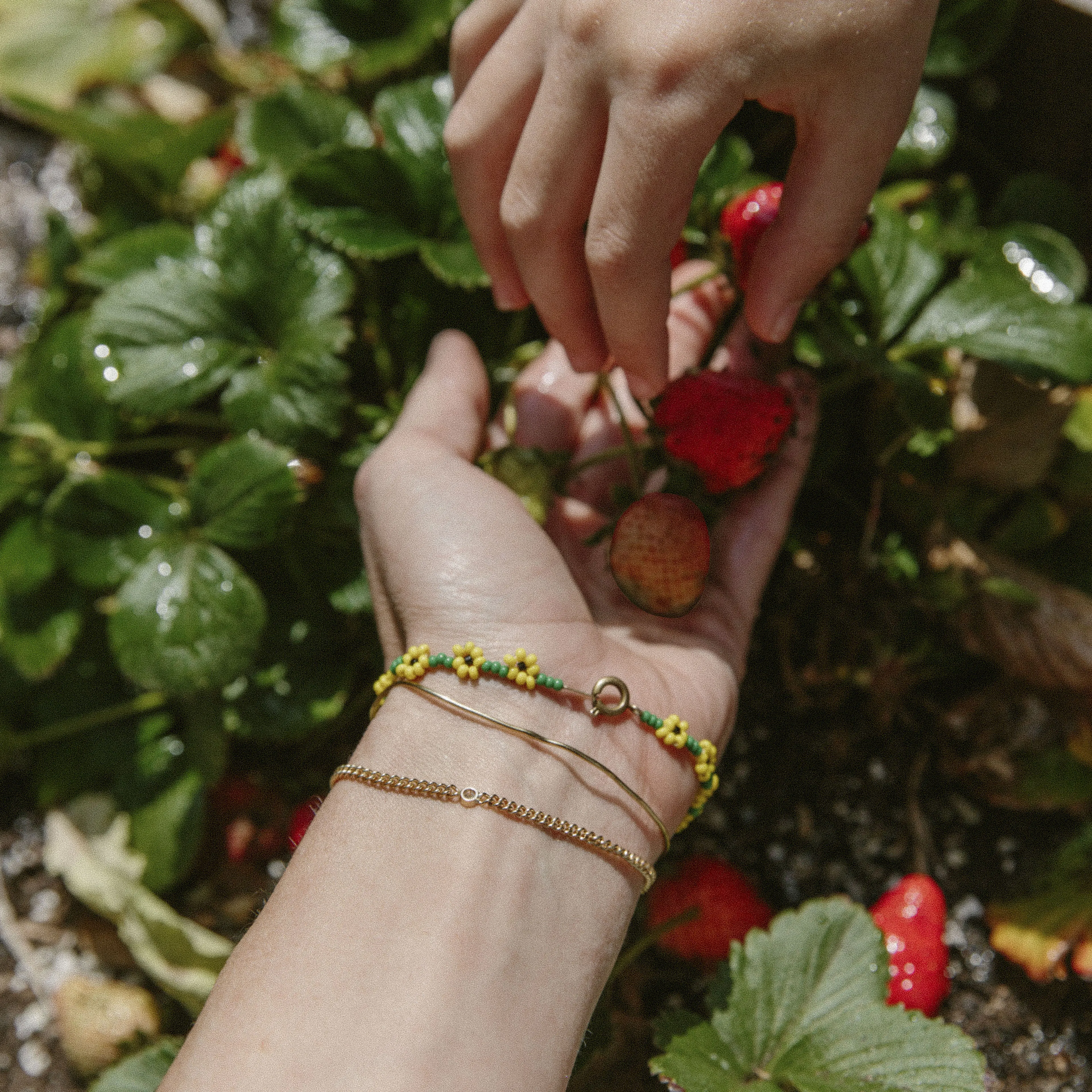 Carmella Bracelet