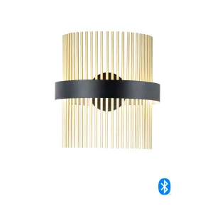Chimes 15 in. 2 Lights Smart LED Wall Light Selectable CCT Brass Finish