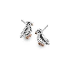 Puffin Studs