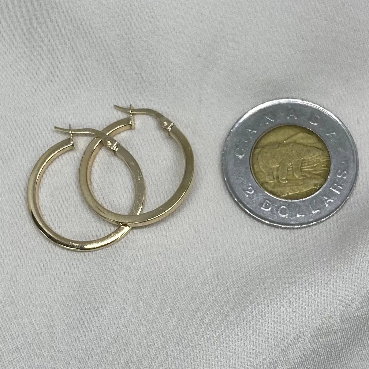 Small 10K Gold Modern Tubing Hoop Earring